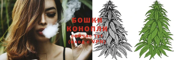 амф Заволжье