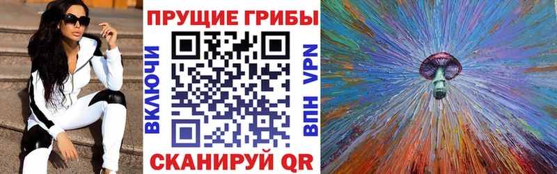 Купить Усть-Катав Псилоцибиновые грибы Psilocybe